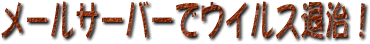 [T[o[ŃECXގI